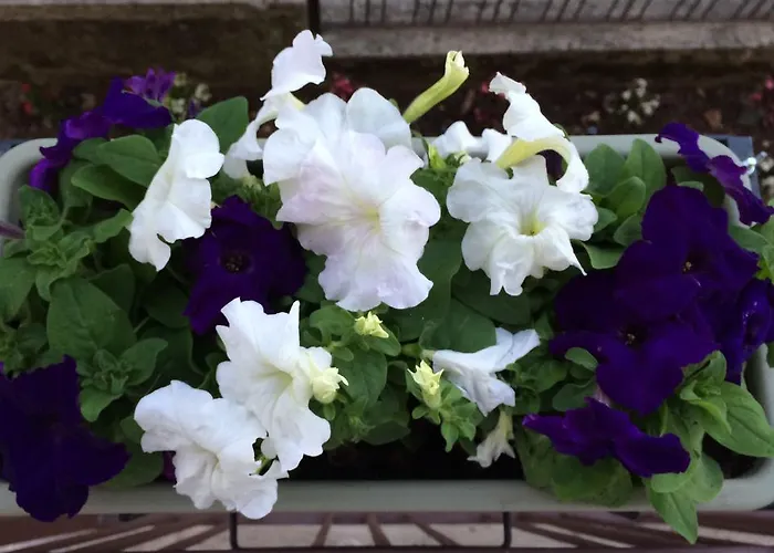 Affittacamere Via Degli Dei